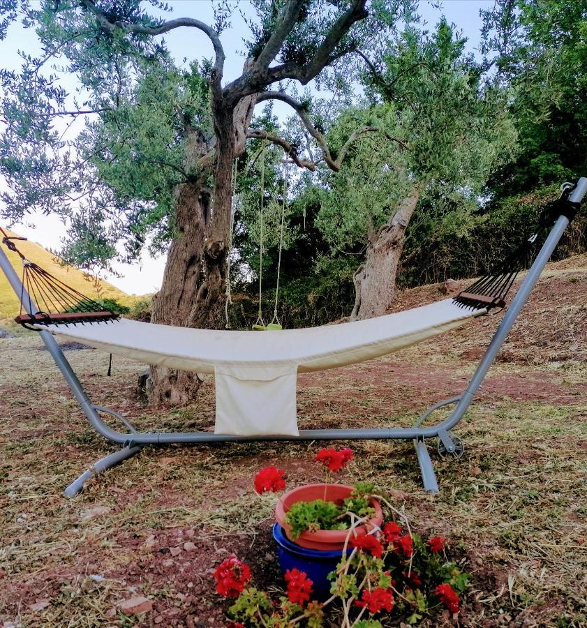 L'Opuntia Sul Lago Caccamo Exteriér fotografie